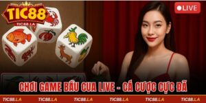 Chơi game bầu cua live