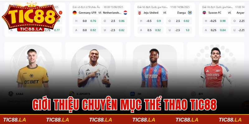 Giới thiệu sơ lược về thể thao TIC88