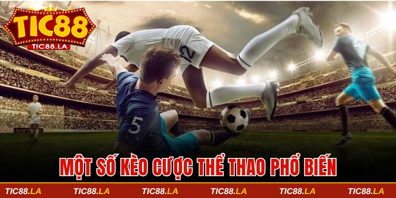 Một số kèo cược thể thao TIC88 phổ biến