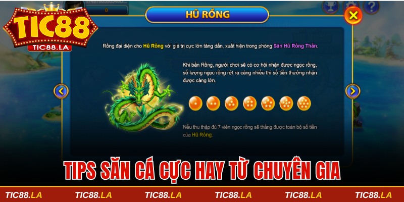 Tips săn cá cực hay được dân chuyên nghiệp chia sẻ