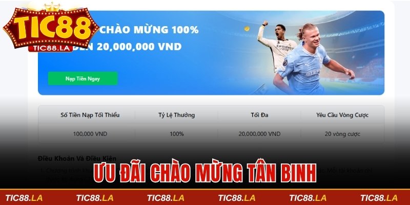 Ưu đãi chào mừng tân binh
