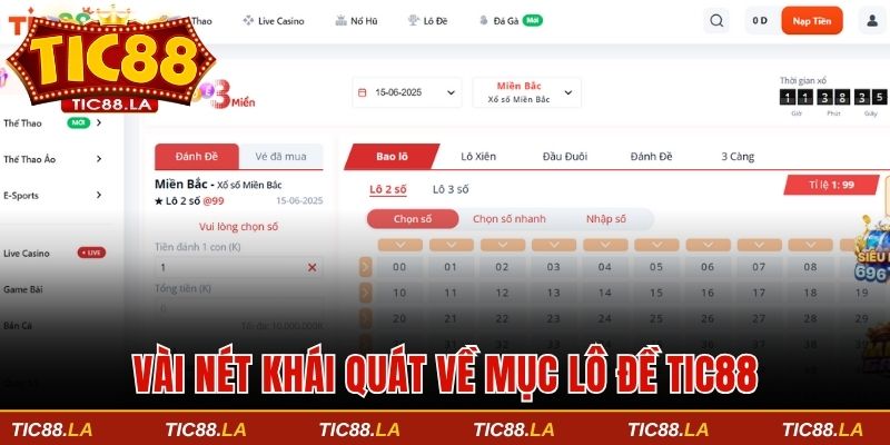 Vài nét khái quát về mục lô đề TIC88