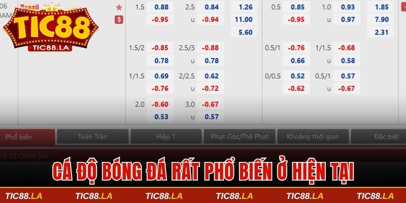 Cá độ bóng đá rất phổ biến ở hiện tại
