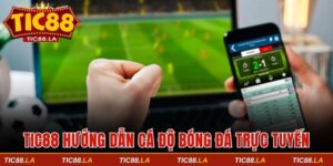 Hướng dẫn cá độ bóng đá trực tuyến